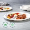 image:image100 Compostable 3 Compartment 10Inch Disposable Paper Plates 125Pack Sectional Lunch Trays  Dividers  Divided Platter Tray  Heavy Duty Biodegradable Bagasse BPACertified PFASFree