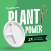 image:image100 Compostable 3 Compartment 10Inch Disposable Paper Plates 125Pack Sectional Lunch Trays  Dividers  Divided Platter Tray  Heavy Duty Biodegradable Bagasse BPACertified PFASFree