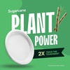 image:image100 Compostable Disposable Paper Plates 125Pack  PFASFree  10 Inch Heavy Duty EcoFriendly Biodegradable Bagasse Dinner Plates  Natural Brown 10 Plate by Stack Man BPI Certified