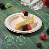 image:image100 Compostable Paper Plates 7 Inch 1000 Count HeavyDuty Dessert Plates  Natural Brown Color Unbleached Bagasse  EcoFriendly Disposable Biodegradable Sugarcane Plates  Bulk Case 8125 Pack9 Round  500 Pack