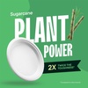 image:image100 Compostable Paper Plates Heavy Duty Disposable Plates 125Pack 9 Inch Plates  EcoFriendly Biodegradable Sugarcane Bagasse Natural White 9 Sturdy Dinner Paper Plate Disposable9 Round  125 Pack