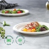 image:image100 Compostable Paper Plates Heavy Duty Disposable Plates 125Pack 9 Inch Plates  EcoFriendly Biodegradable Sugarcane Bagasse Natural White 9 Sturdy Dinner Paper Plate Disposable9 Round  125 Pack