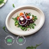 image:image100 Compostable Square Paper Plates 8 inch 500Bulk Pack  PFASFree  BPI Certified Heavy Duty EcoFriendly Biodegradable Bagasse Dinner Plates  Natural Brown 8x8 Plate10 Oval  500 Pack