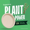 image:imageStack Man 100 Compostable Deep Dish Plates  10 Inch 125Pack Heavy Duty125 Count Pack of 1