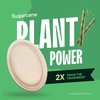 image:imageStack Man 100 Compostable Oval Paper Plates 50Pack Heavy Duty 10 Inch EcoFriendly Biodegradable Bagasse Dinner Platters  Natural Brown 10 Oval Plates PFASFree BPI CertifiedOval 125
