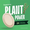 image:imageStack Man 100 Compostable Oval Paper Plates 50Pack Heavy Duty 10 Inch EcoFriendly Biodegradable Bagasse Dinner Platters  Natural Brown 10 Oval Plates PFASFree BPI Certified10 Oval