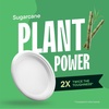 image:imageStack Man 100 Compostable Small Paper Plates 7 Inch HeavyDuty 125Pack EcoFriendly White Bagasse Disposable Dessert Cake Plates  7 Biodegradable Plate BPICertified PFASFree125 Count Pack of 1