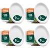 image:image100 Compostable Paper Plates Heavy Duty Disposable Plates 125Pack 9 Inch Plates  EcoFriendly Biodegradable Sugarcane Bagasse Natural White 9 Sturdy Dinner Paper Plate Disposable9 Round  500 Pack